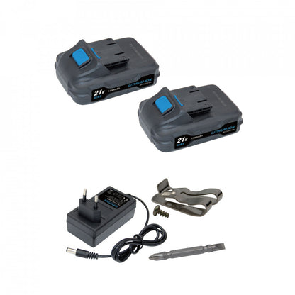 Masina de gaurit si insurubat 2AC 21V 1.3Ah 35Nm CCD-210A2 - CAMPINA